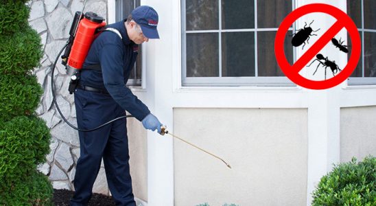 Kayseri Böcek ve Haşere İlaçlama böcek ilaçlama ve haşere kontrolü — ilaclama-tr.com